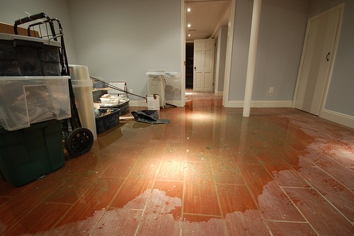 How to Recognize When Your Home Has Water Damage and What to Do in the Restoration Process